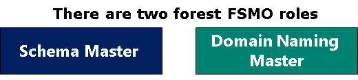 Visual representation of the two forest FSMO roles discussed in the content. 