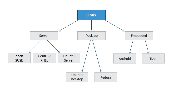 linux network usage by process